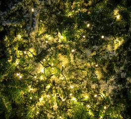 Snowy Christmas tree and Xmas lights decoration close up