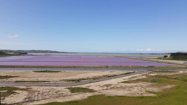 Aerial jib up revealing many bright pink salt filtering ponds. Ocean can be seen in the background. 