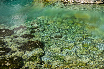 Beautiful transparent river in nature. Source of the Krka River, Croatia. 