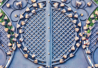 Expensive beautiful metal wrought iron gates.