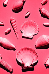 Seashells of different species on monochrome background. Flat lay, vertical image.  Demonstrating the colors of 2023 Viva Magenta.
