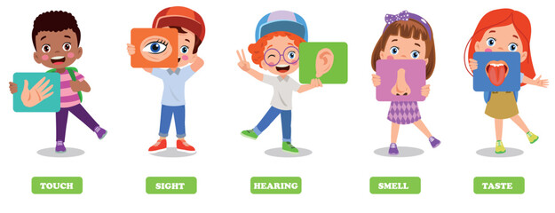 Five Senses Concept With Human Organs