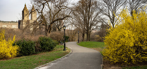 Central Park in spring