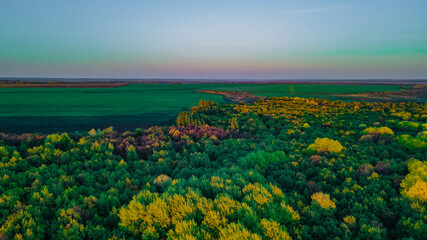 Obraz premium autumn wildlife in the countryside