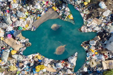 Aerial top view turtle swims in sea among garbage. Concept environmental pollution ocean and water...