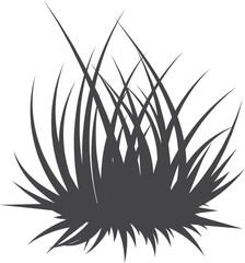 Growing grass black silhoette. Wild meadow plant