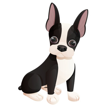Cute Boston terrier cool sweet puppy sitting in cartoon style isolated on white background. Cute dog, print design