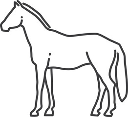 Horse line icon. Farm animal. Equestrain symbol