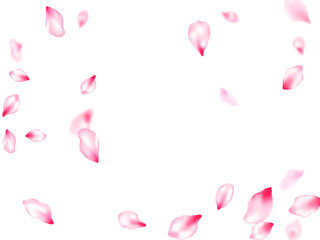 Spring blossom isolated petals flying