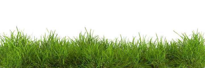 Natural fresh green grass cut out backgrounds 3d rendering