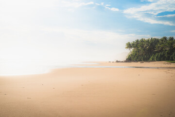 The ideal tropical beach