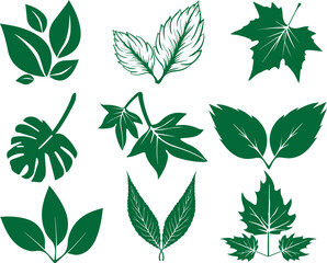 Leaf icon set, set of green leafs icon vector