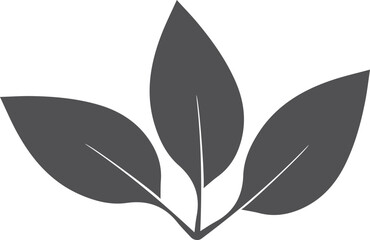 Obraz premium Leaf icon, abstract leaves icon on white background