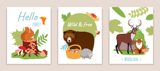 Forest design set, vector illustration, cute bear, squirrel, hedgehog, fox and deer graphic card collection, greeting art with woodland sign.