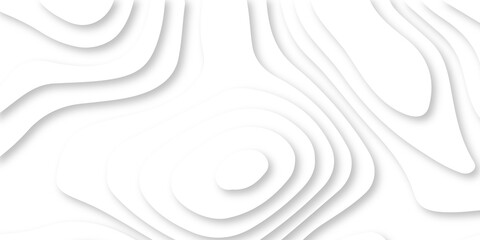 	
Abstract Luxury paper cut background, Abstract decoration, white pattern lines gradients, 3d Vector illustration, topographic canyon map light relief texture, curved layers.