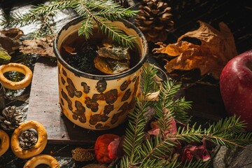 Still life- medicinal tea is a forest medicine from the polypore mushroom. Dark background- photo...