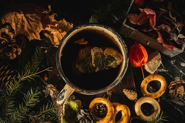 Still life- medicinal tea is a forest medicine from the polypore mushroom. Dark background- photo clipart