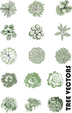 Vectors of trees. Top view of trees. It can be used in landscape plans.