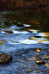 Obraz na płótnie Canvas Fallen autumn leaves and small waterfall. Selective focus.