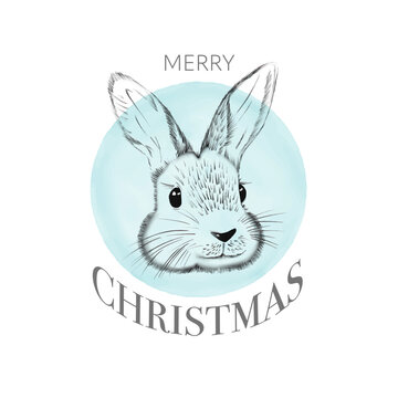 Vector post card with bunny. Rabbit Illustration. New Year card. Christmas greeting card design