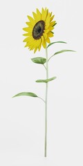 Realistic 3D Render of Sunflower