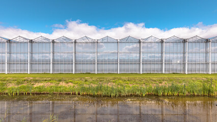 Fototapeta na wymiar Greenhouse industrial exterior Netherlands