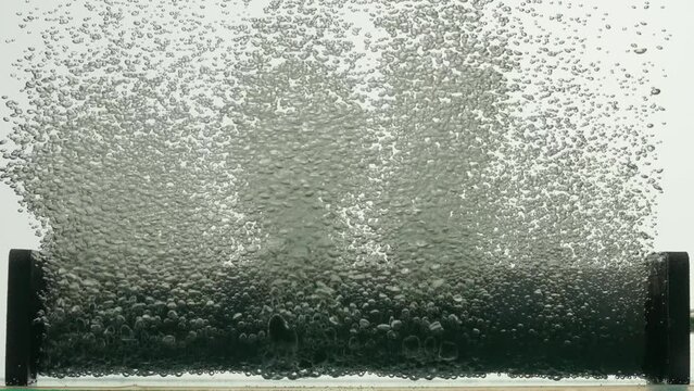 Stream of air bubbles escaping from dark paralon tube of compressor or filter underwater in aquarium. Close up of rising oxygen bubbles in liquid on white isolated background. Slow motion.