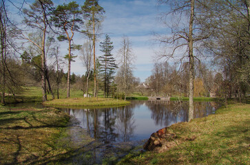 Fototapeta na wymiar Isle of Seclusion. Small island with pines in middle of round pond. Park in Mikhailovskoye. Pushkinskie Gory. Russia, Pskov region, historical Pushkin places