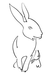 Black rabbit portrait drawn in ink, vector illustration, quick sketch. Symbol of 2023 according to the Chinese calendar, line art