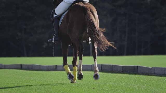 UFA RUSSIA - 05.09.2021: Girl on horseback in slow motion. Horseback riding. Polo in the grass arena, equestrian sports in the stadium. Horse legs