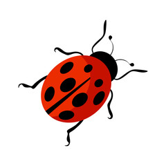 Ladybug vector. Cute ladybug or ladybird flat design red and black. Vector illustration isolated on white background. eps10