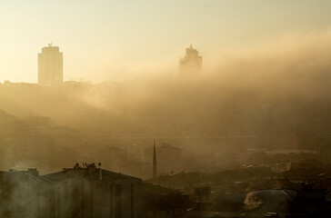 fog in the city