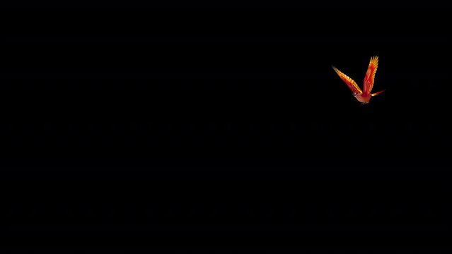 Phoenix Bird - Hot Red - Flying Around Screen Loop - Alpha Channel - Isolated 3D Animation