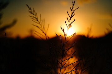 Obraz premium 노을