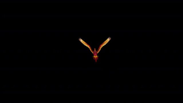 Phoenix Bird - Hot Red - Flying Over Screen IV - Alpha Channel - Isolated 3D Animation
