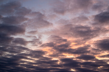 Landscape photo of big, pink cumulonimbus clouds in a stormy sky at sunset. Moody sunset or sunrise sky.