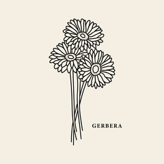 Line art gerbera flower illustration