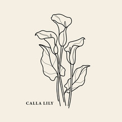 Line art calla lily flower illustration - obrazy, fototapety, plakaty