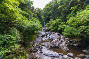 大棚の滝