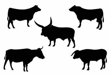Set of silhouettes of different bull and cow poses. Farm animal. Vector illustration.