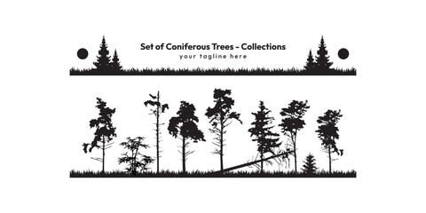 Set of monochrome vector illustrations with a coniferous trees.