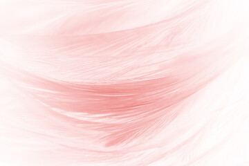 Beautiful soft pink white feather pattern texture background