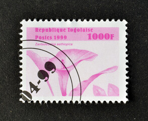 Cancelled postage stamp printed by Togo, that shows Zantedeschia aethiopica flower, commonly known...