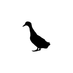 Duck icon. Simple style zoological garden ticket big sale poster background symbol. Duck brand logo design element. Duck t-shirt printing. vector for sticker.