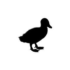Duck icon. Simple style zoological garden ticket big sale poster background symbol. Duck brand logo design element. Duck t-shirt printing. vector for sticker.