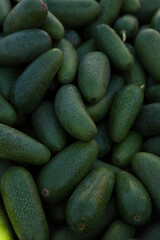 Bunch of green Avocados. Close up good for background