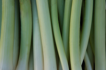 background of leek vegetables. High quality photo