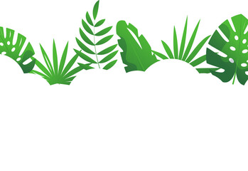 Tropical leaves, plant and nature illustration