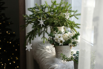 Various house flowers as Christmas decor on the windowsill. Christmas flower still life. Winter arrangement with white flowers and fir branches