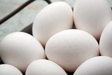 View of a group of eggs.